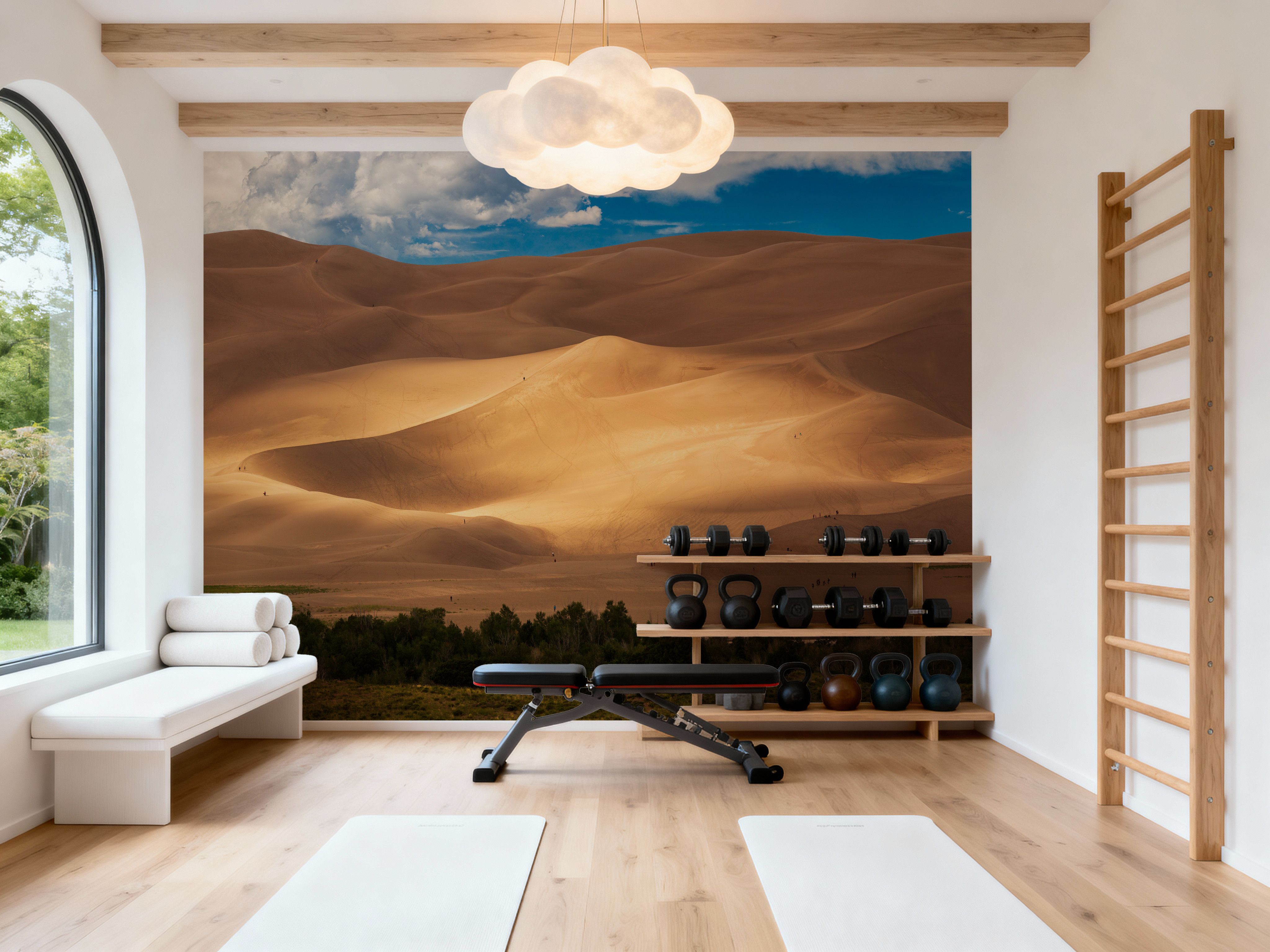 Sunlit Dune