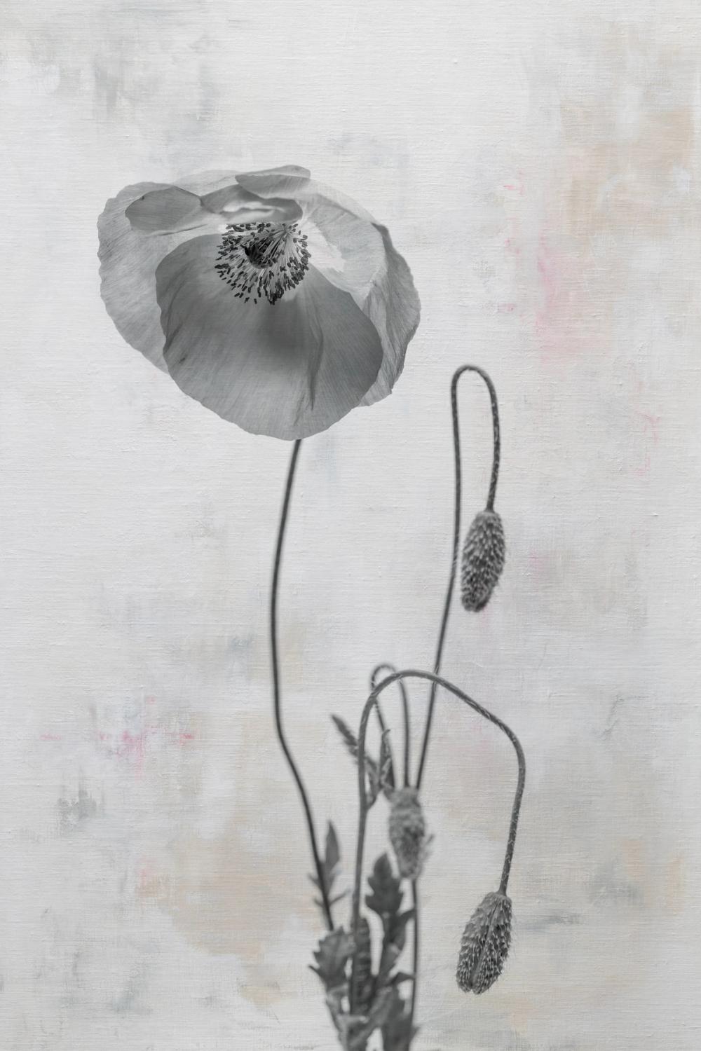 Wonderful Wildflowers I Neutral