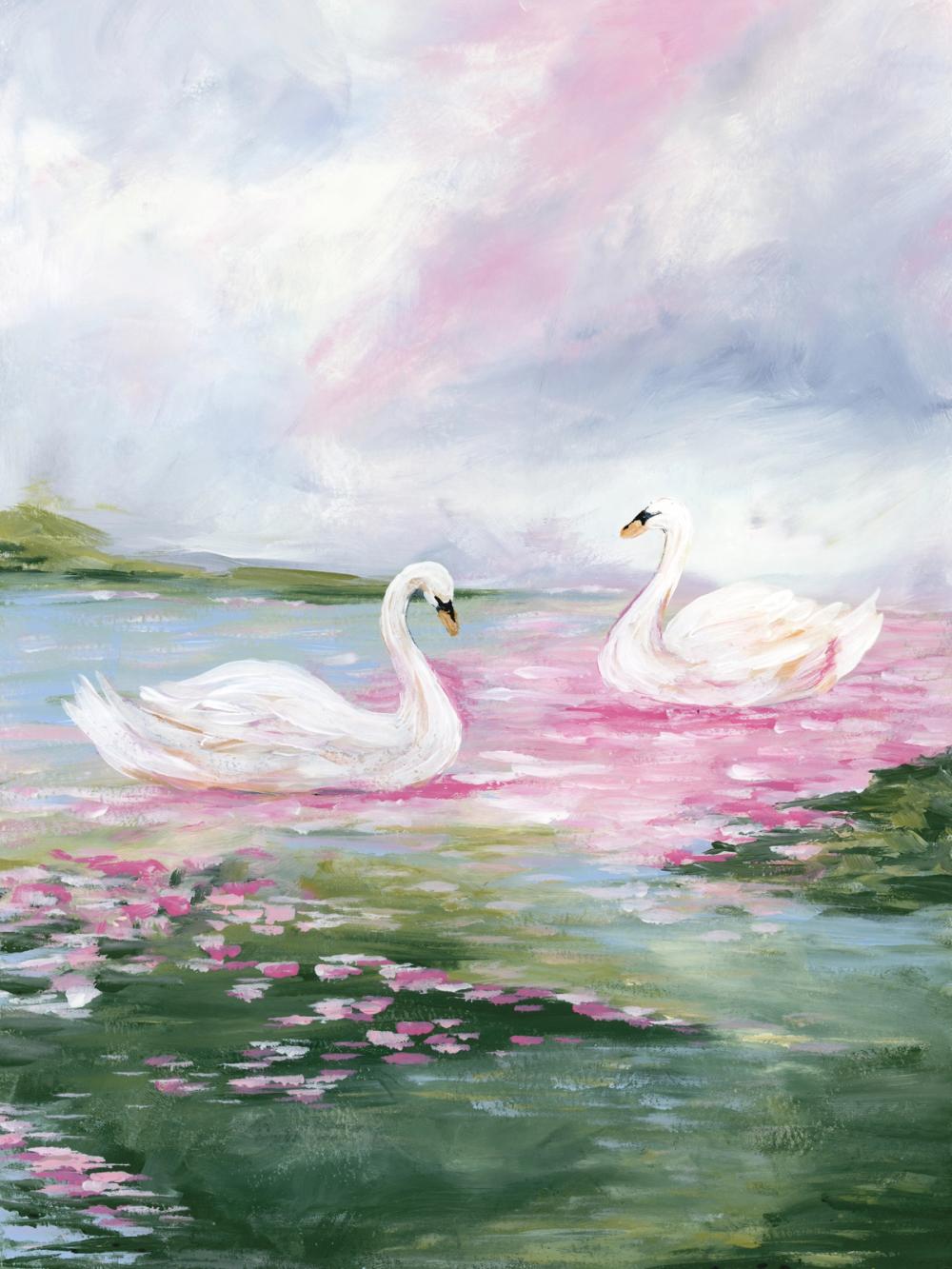 Swans in the Pond