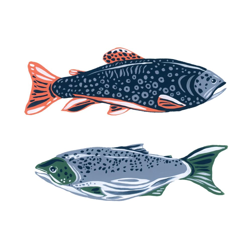 Catch of the Day VII