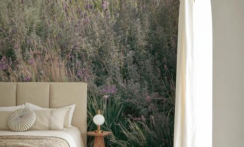 Secret Garden IX