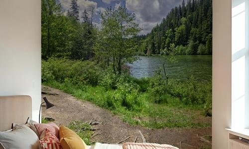 Lakeside Serenity