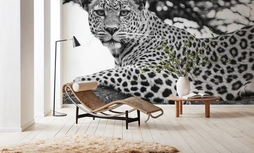 Lounging Leopard Neutral