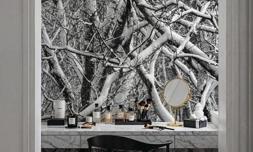 Snow Branches