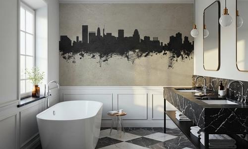 Baltimore Skyline Concrete