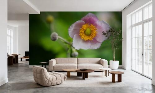 Autumn Anemone