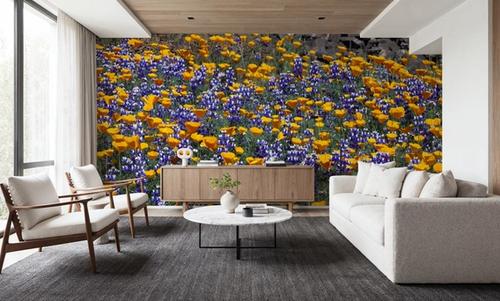 Poppy and Lupine Meadow