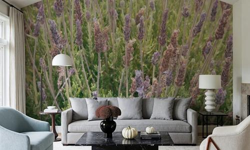 Secret Garden II