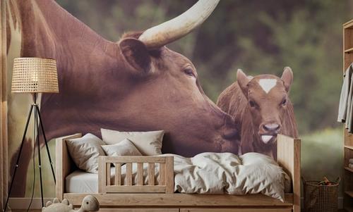 Longhorn Pasture Pair