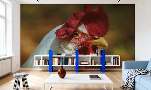 Chicken in the Sun I