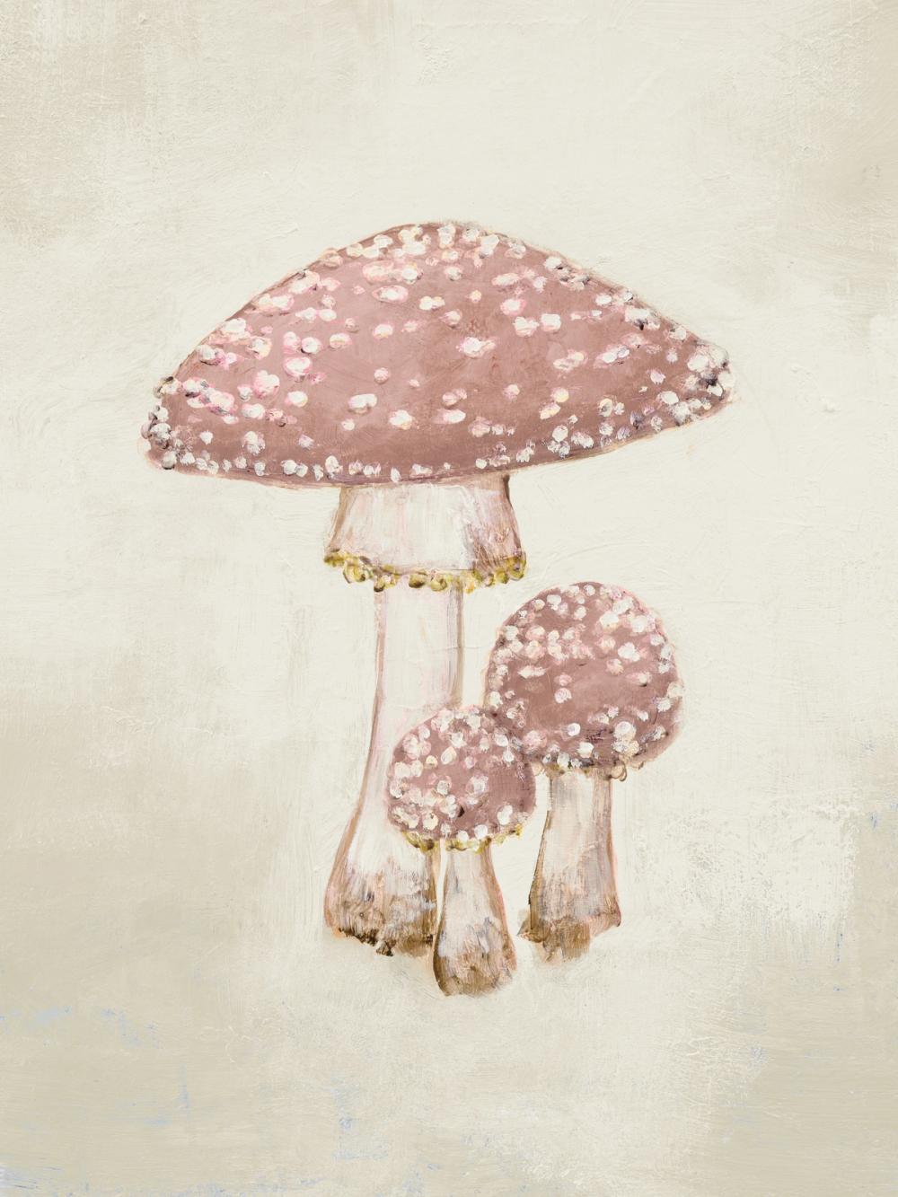 Woodland Mushroom II Honeybloom