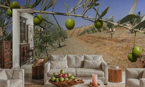 Olive Field