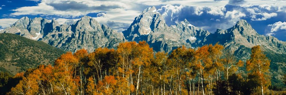 Autumn Mountain Vista