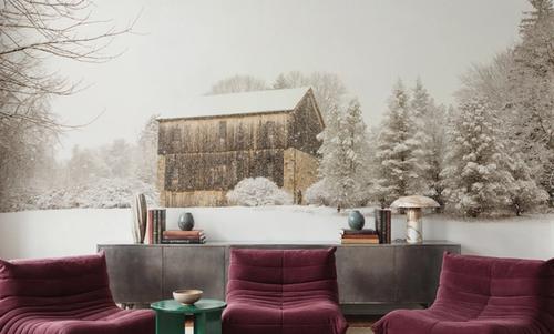 First Snow