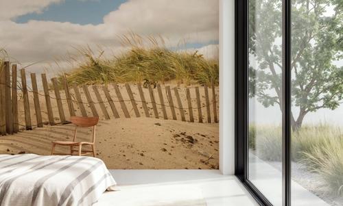 Beach Dunes I