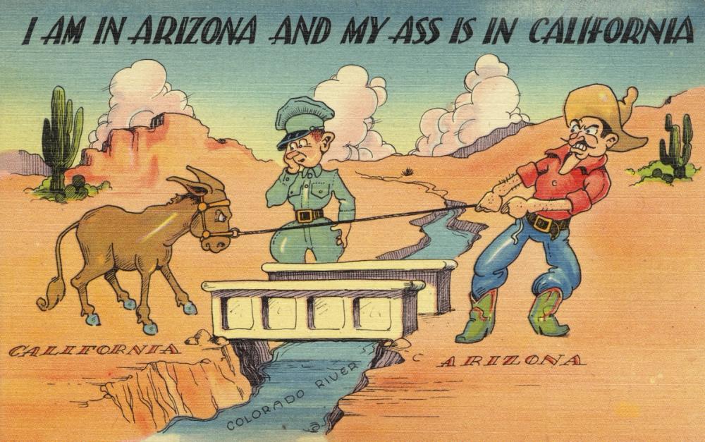 Greetings from the Donkey - Screenprint Postcard