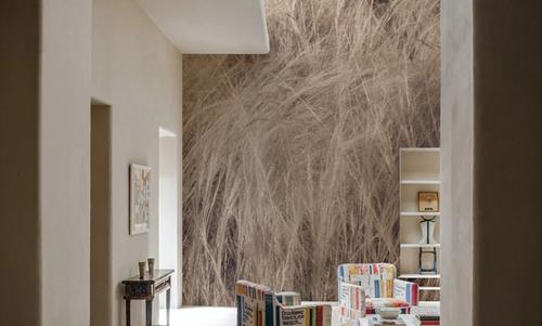Soft Grasses I