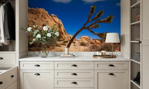 Joshua Tree Blue II