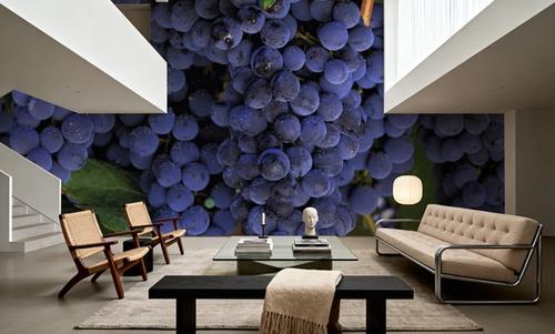 Grapes and Grapes