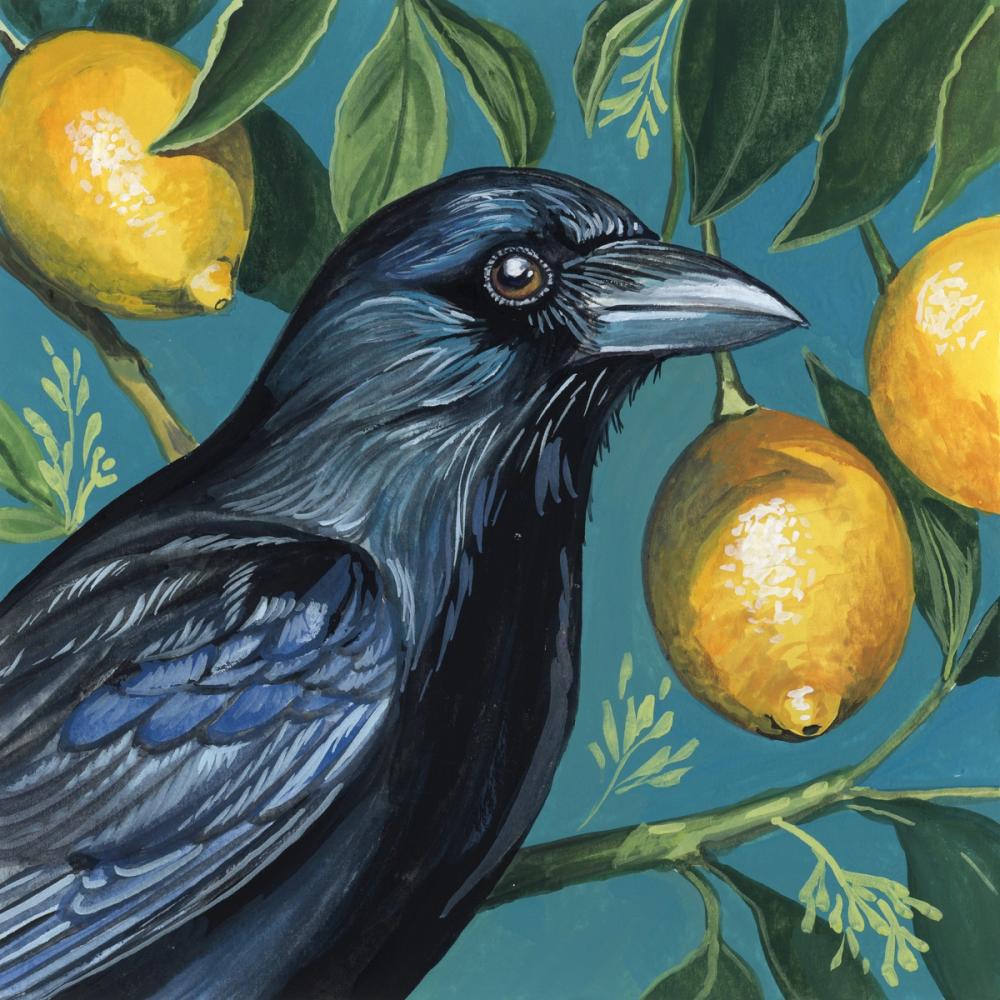 Crow With Lemon Backdrop