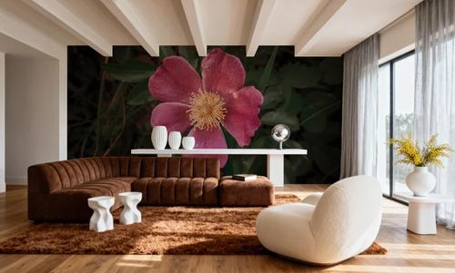 Wild Rose IV