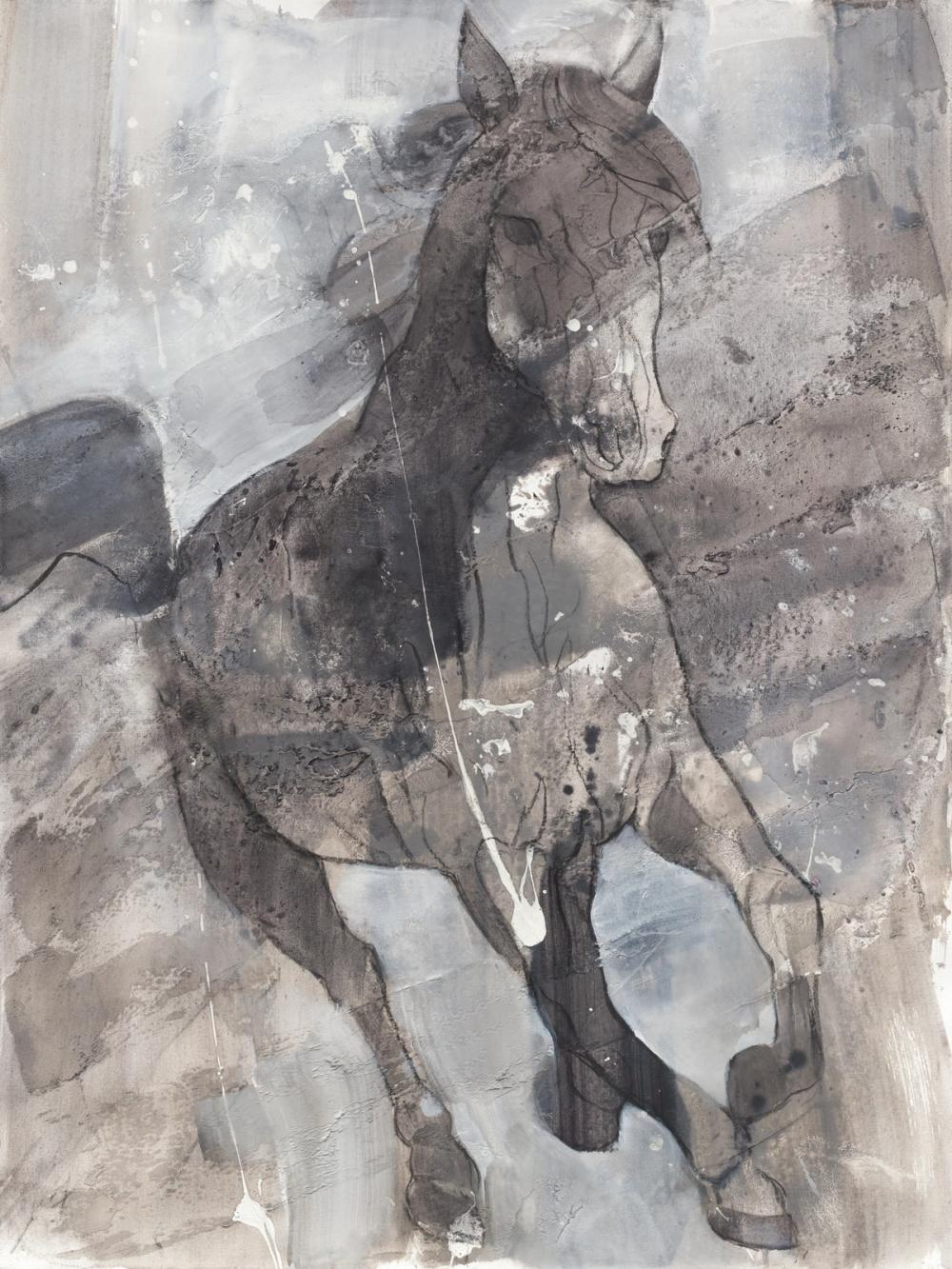 Free Spirit I