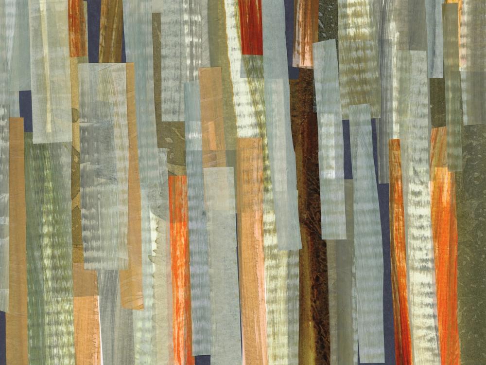 River Trout Study II