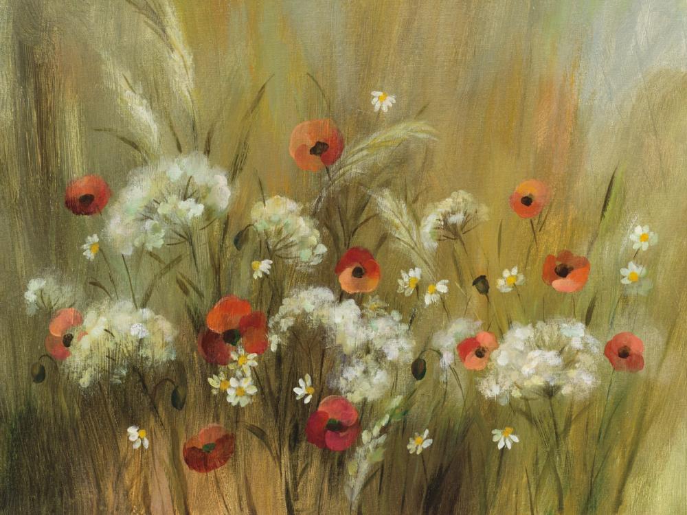 Hidden Meadow