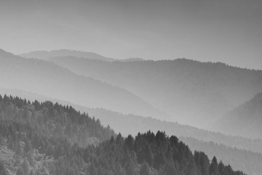 Deep in the Lost Coast