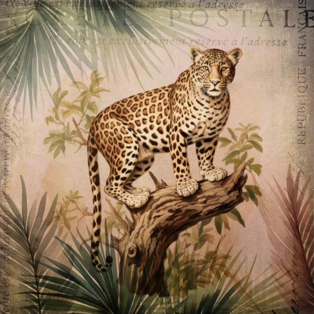Cheetahs Exotic Jungle