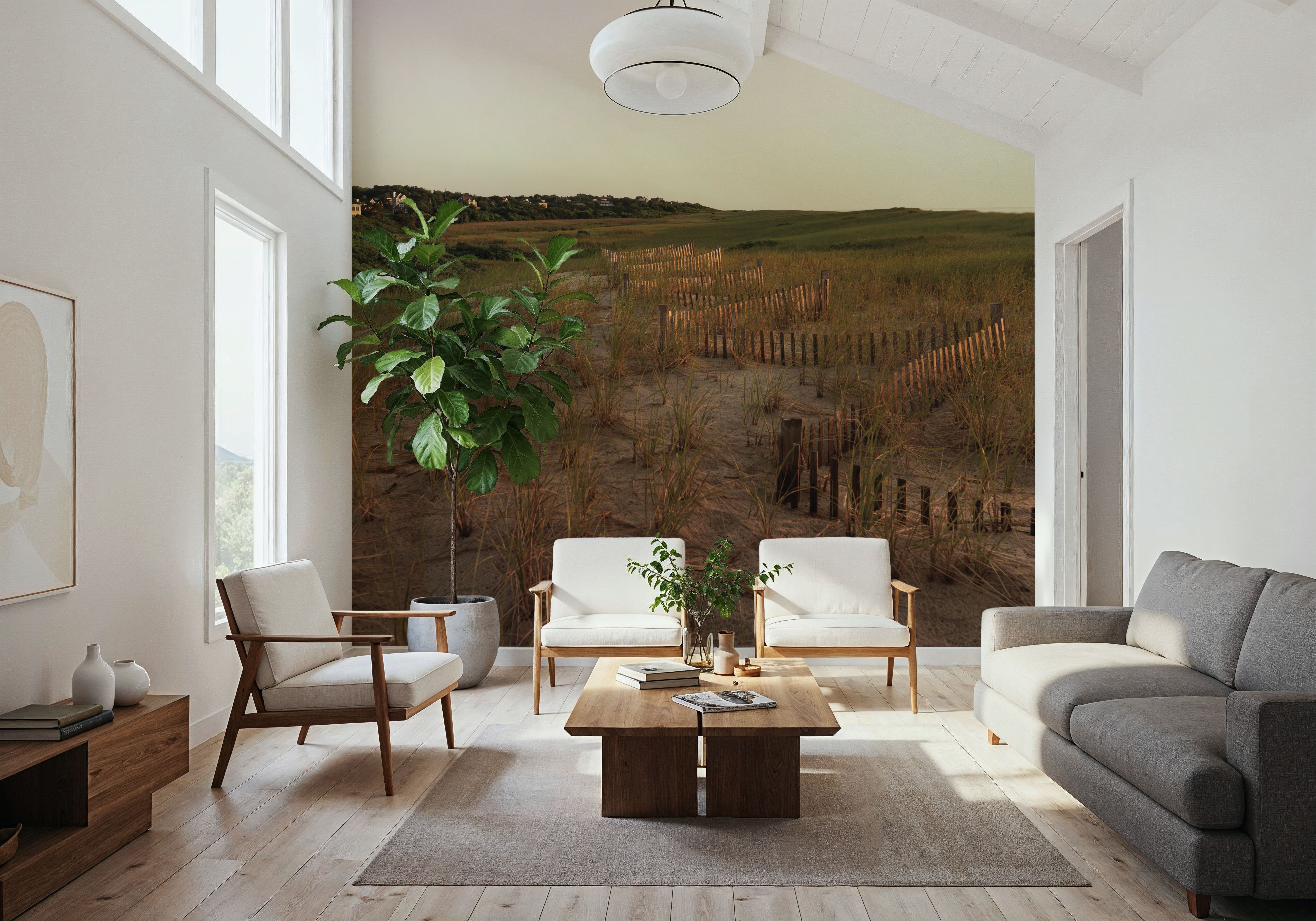 Light over the Dunes