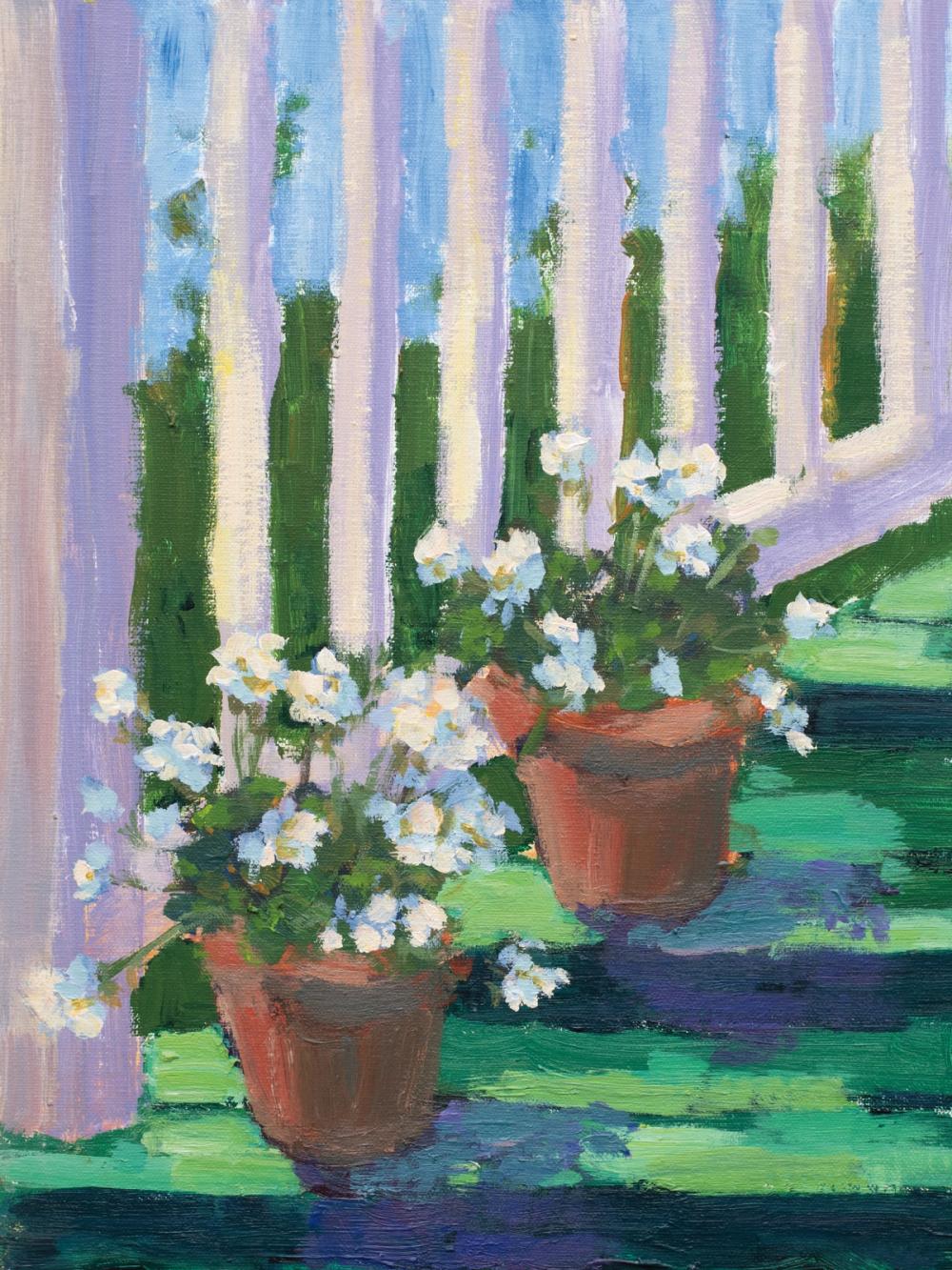Geraniums on the Porch