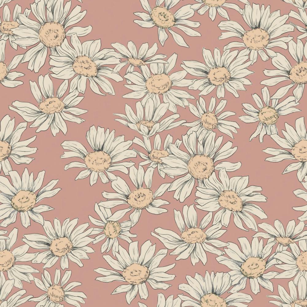 Dazzling Daisies Blush