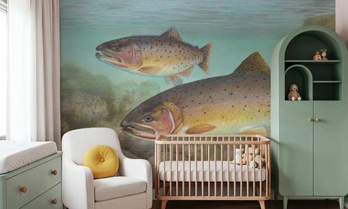 Cutthroat Trout