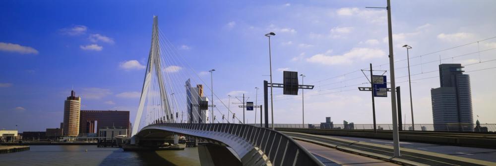 Urban Suspension Blue