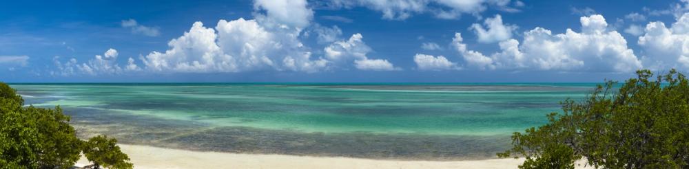 Tropical Paradise Shore