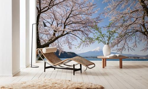 Mount Fuji in Spring