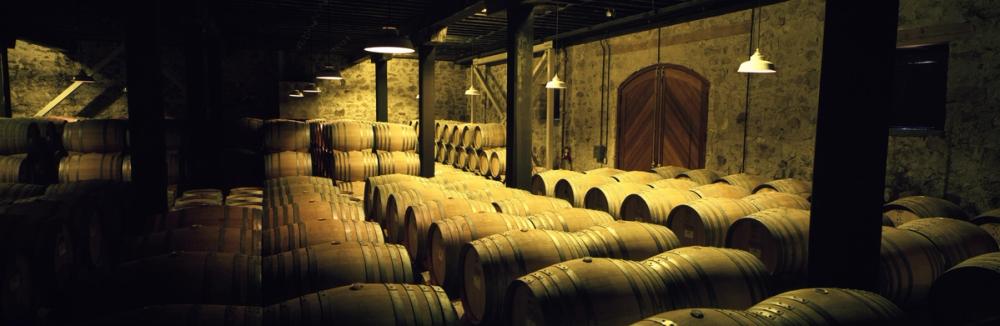 Barrels in a Cellar