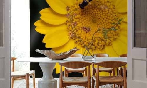 Yellow Attraction
