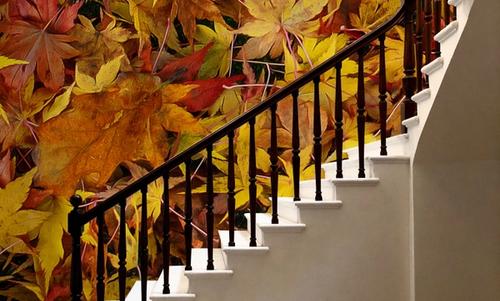 Leaves of Rust