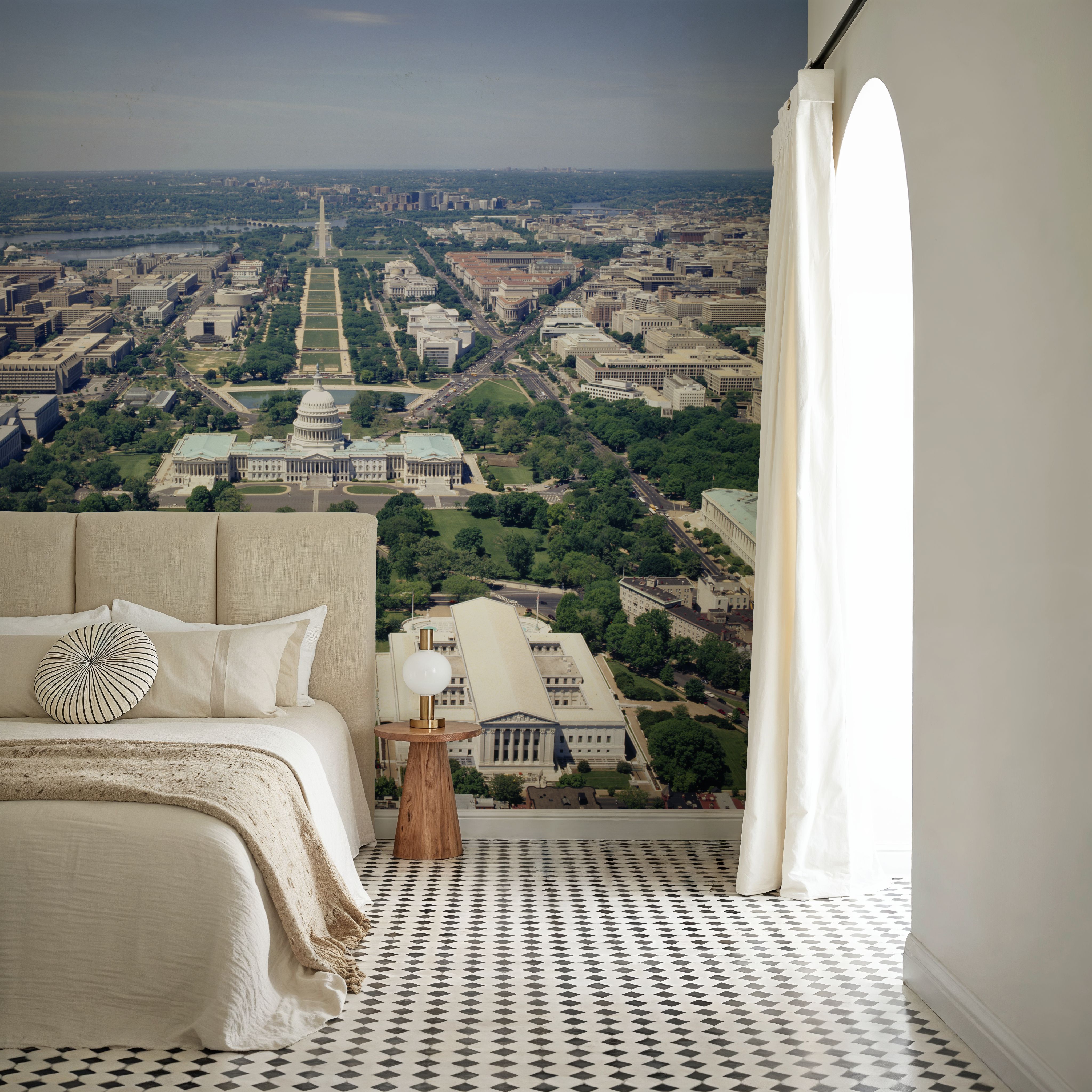Capitol Vista