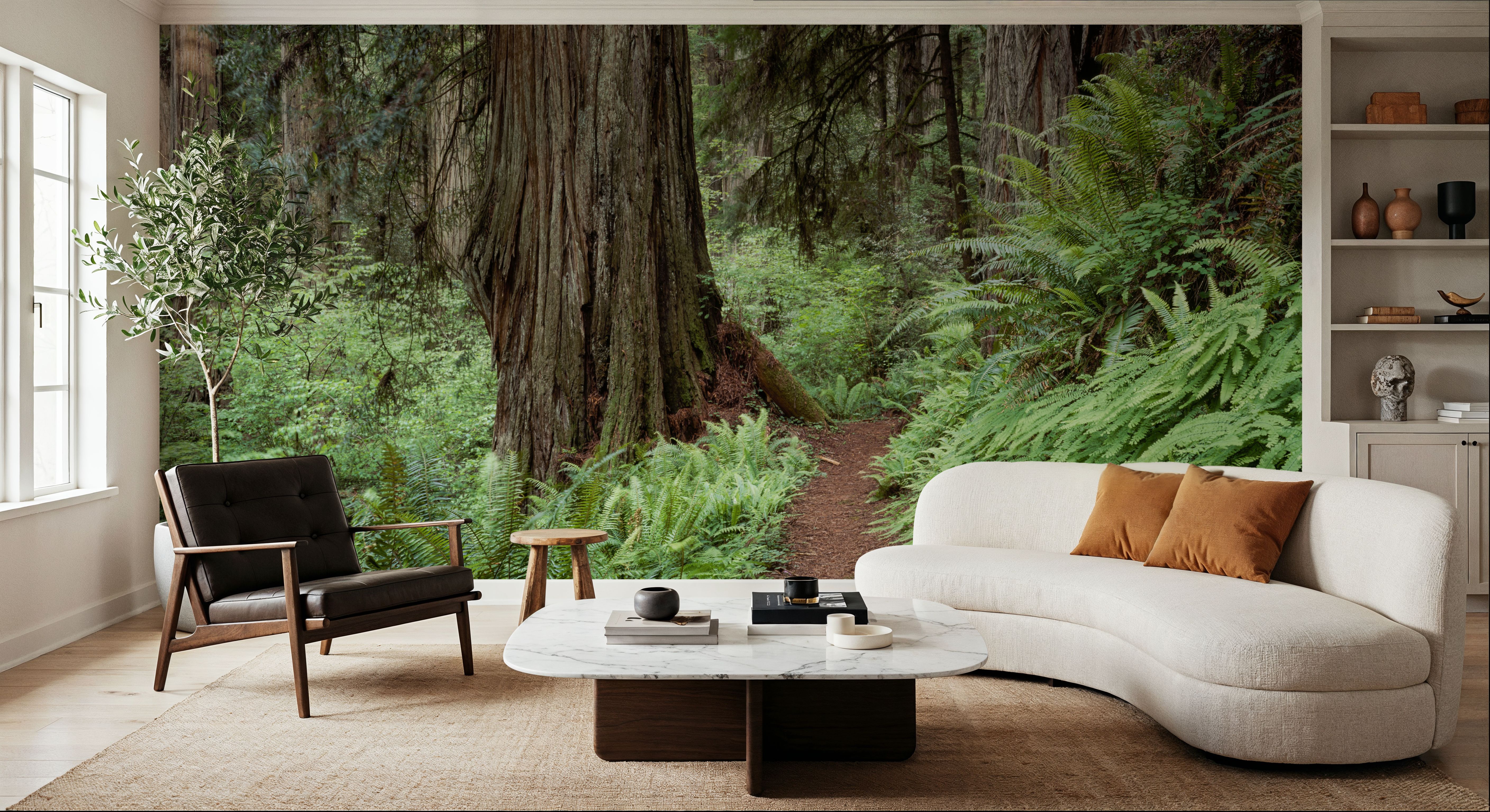 Primeval Forest Path