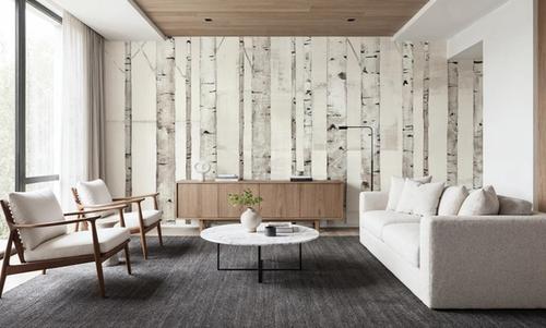 Birch Trees on White