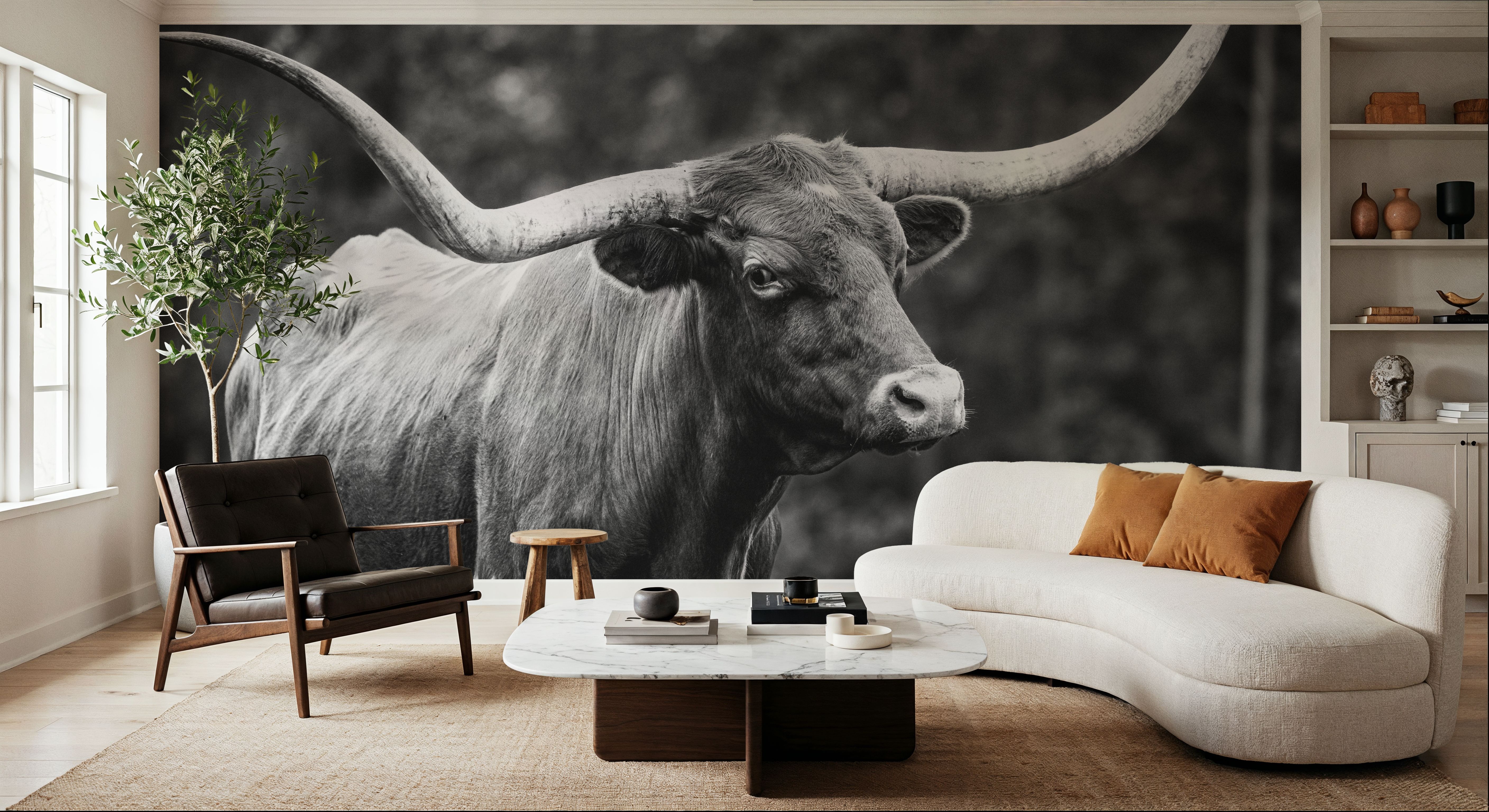 Longhorn Side Eye BW