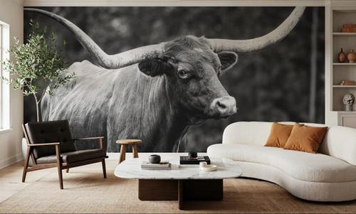 Longhorn Side Eye BW
