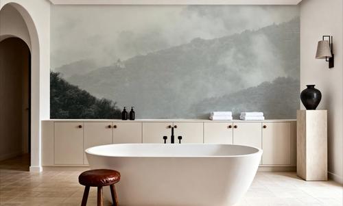 Morning Mist I