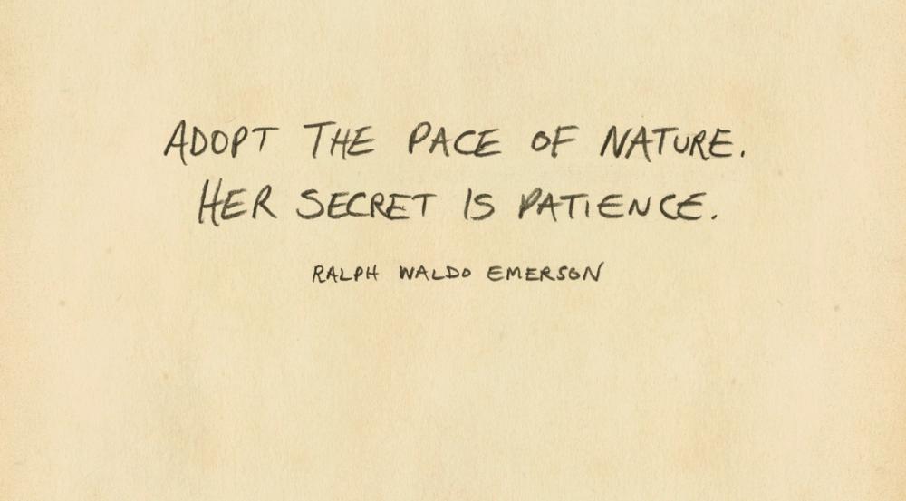 Outdoor Adventure VII