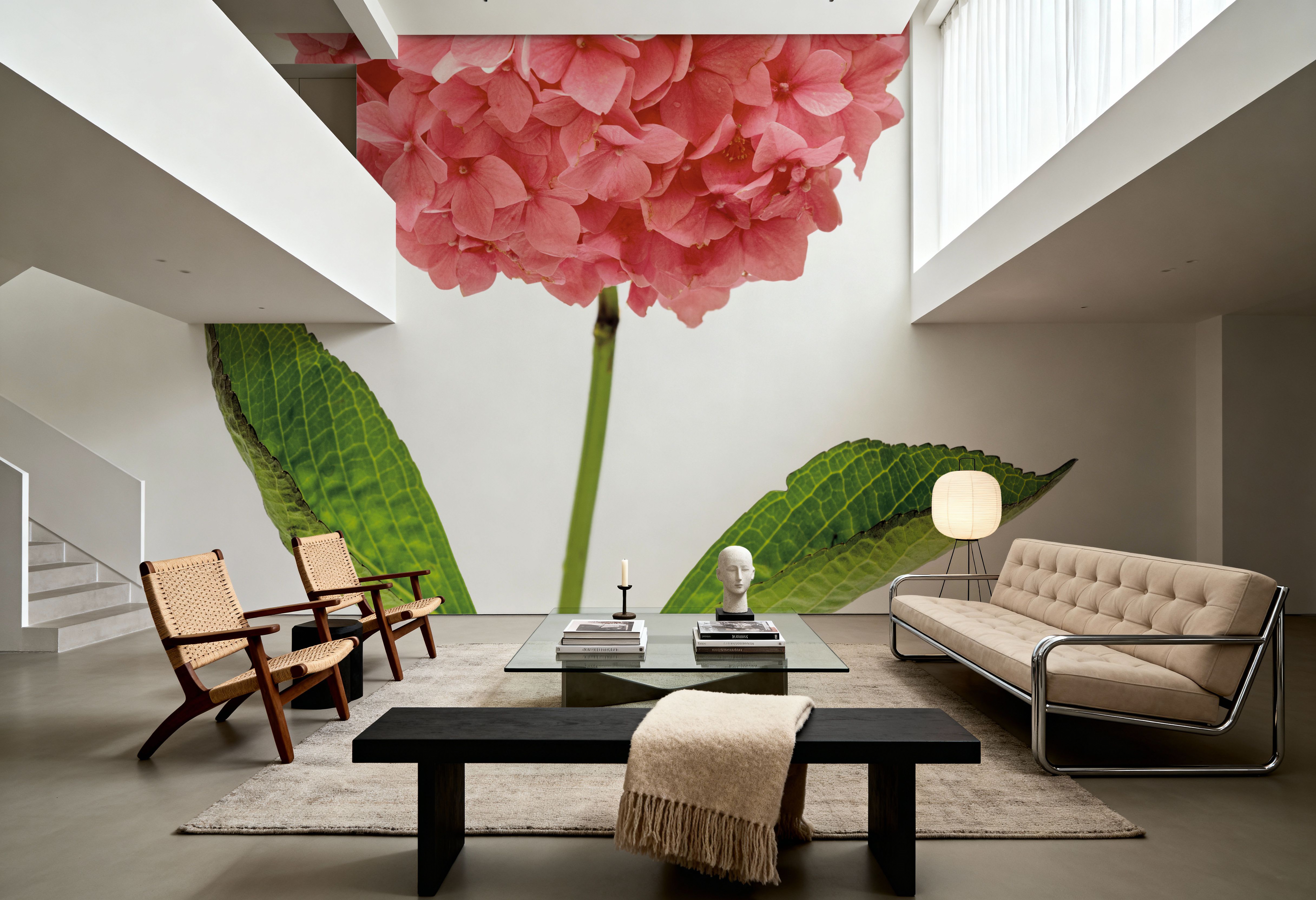 Providence Hydrangea I