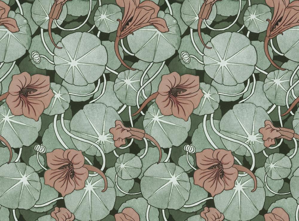 Nasturtium Verdure, Peachy Rose