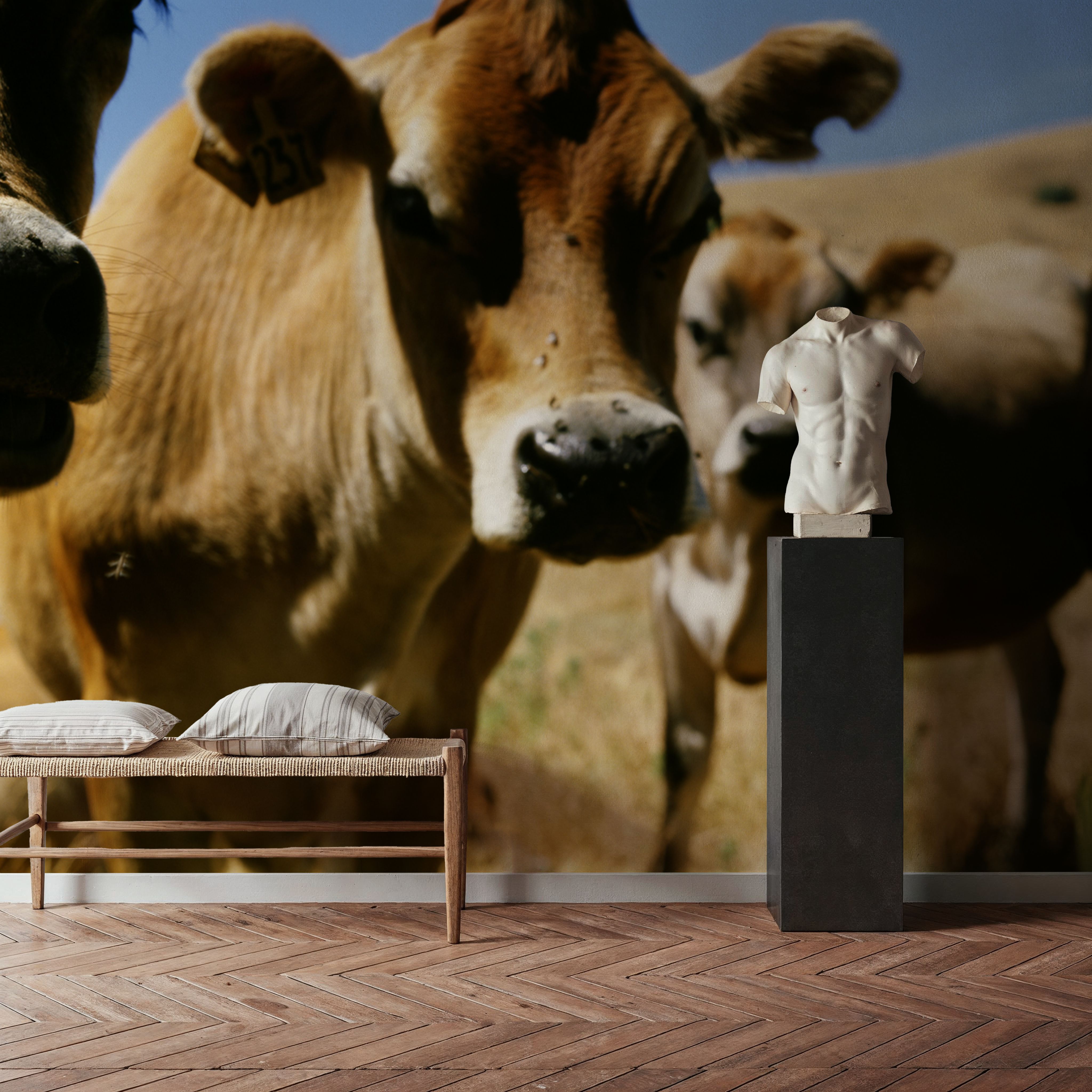 Pastoral Serenity